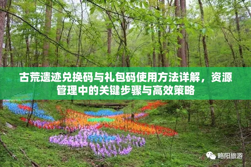 古荒遗迹兑换码与礼包码使用方法详解，资源管理中的关键步骤与高效策略