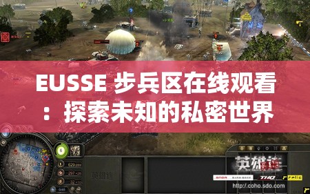 EUSSE 步兵区在线观看：探索未知的私密世界