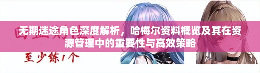 无期迷途角色深度解析，哈梅尔资料概览及其在资源管理中的重要性与高效策略