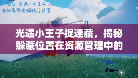 光遇小王子捉迷藏，揭秘躲藏位置在资源管理中的重要性及高效策略运用