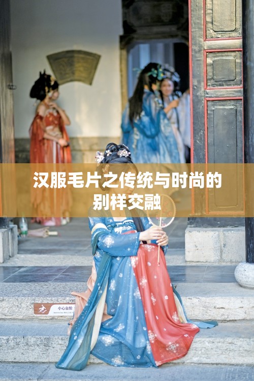 汉服毛片之传统与时尚的别样交融