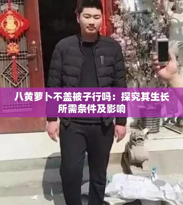 八黄萝卜不盖被子行吗：探究其生长所需条件及影响