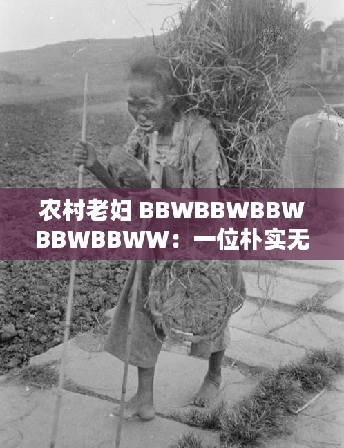 农村老妇 BBWBBWBBWBBWBBWW：一位朴实无华的农村女性