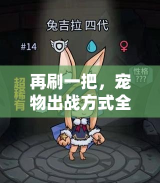 再刷一把，宠物出战方式全面解析及其在资源管理策略中的核心作用