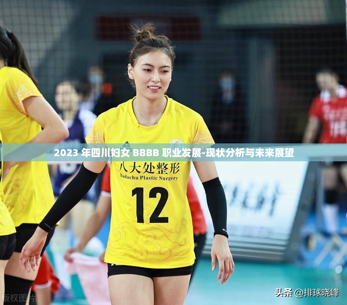 2023 年四川妇女 BBBB 职业发展-现状分析与未来展望
