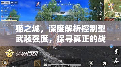 猫之城，深度解析控制型武装强度，探寻真正的战场最强王者