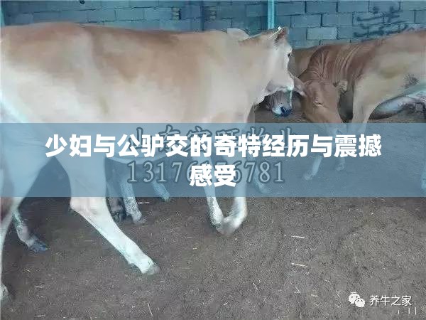 少妇与公驴交的奇特经历与震撼感受