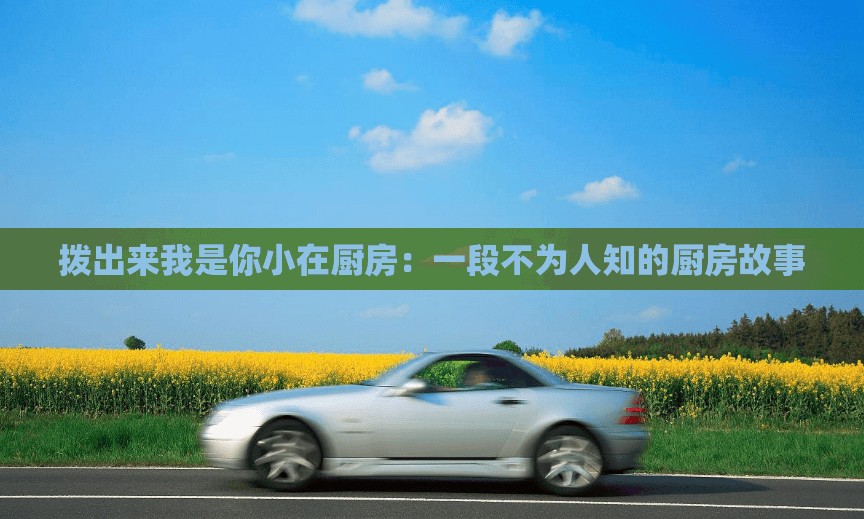 拨出来我是你小在厨房：一段不为人知的厨房故事