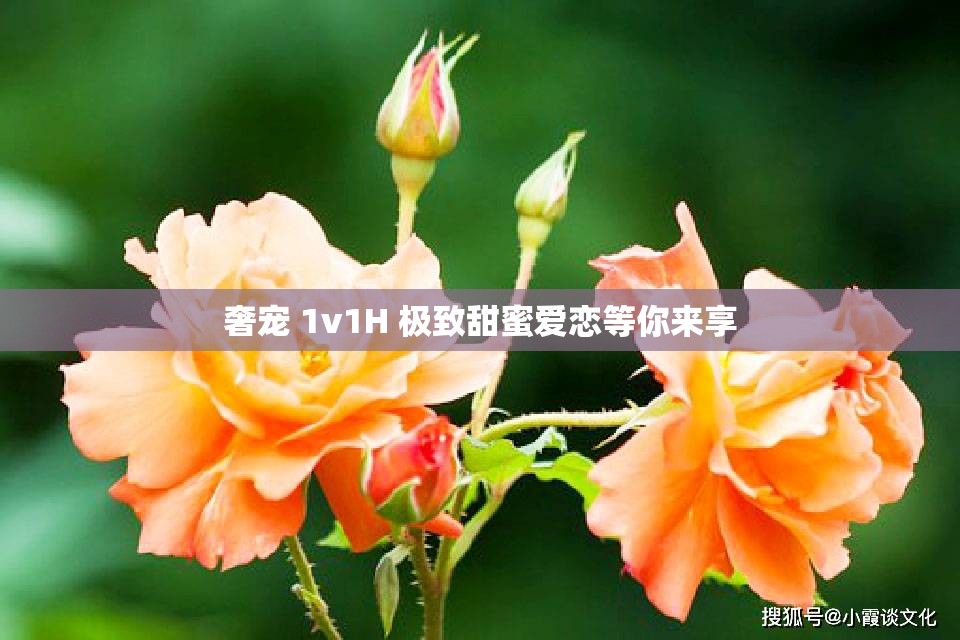 奢宠 1v1H 极致甜蜜爱恋等你来享