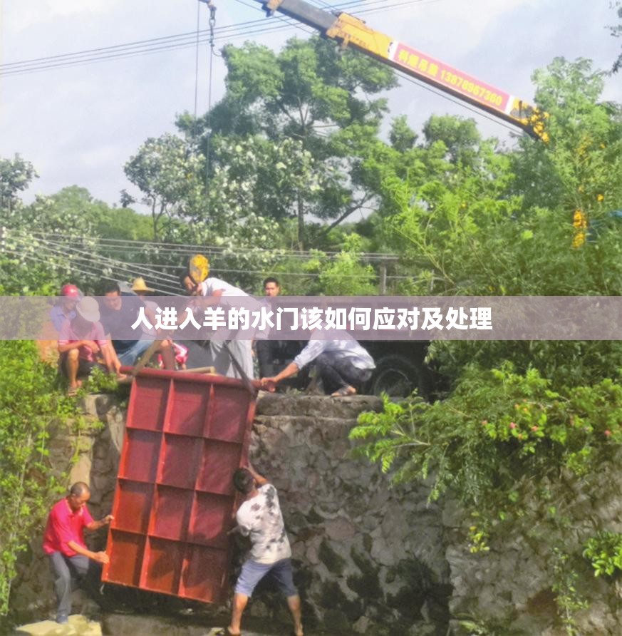 人进入羊的水门该如何应对及处理