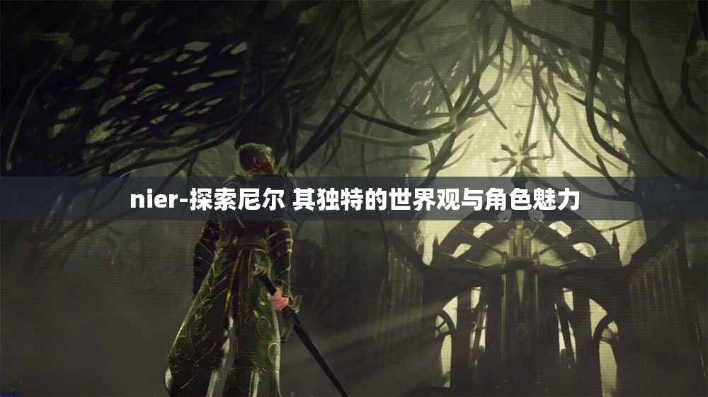 nier-探索尼尔 其独特的世界观与角色魅力