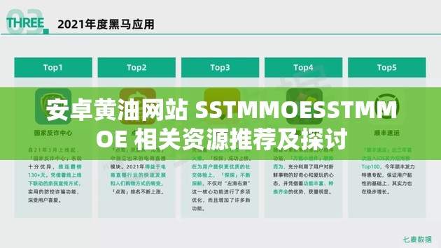安卓黄油网站 SSTMMOESSTMMOE 相关资源推荐及探讨