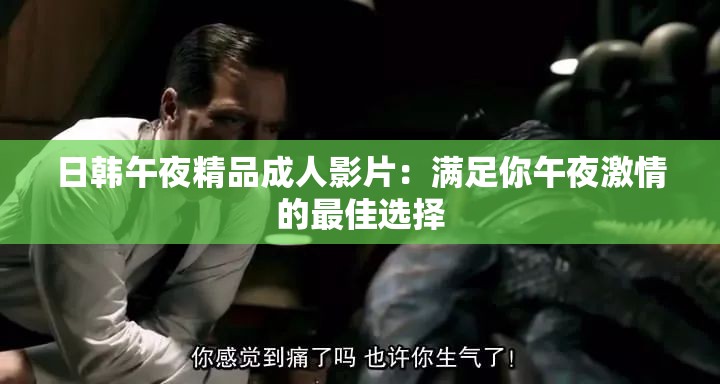 日韩午夜精品成人影片：满足你午夜激情的最佳选择