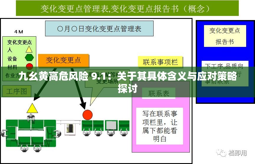 九幺黄高危风险 9.1：关于其具体含义与应对策略探讨