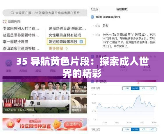 35 导航黄色片段：探索成人世界的精彩