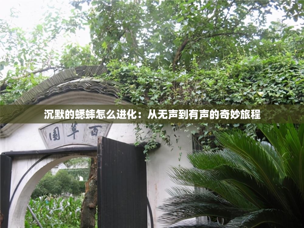 沉默的蟋蟀怎么进化：从无声到有声的奇妙旅程