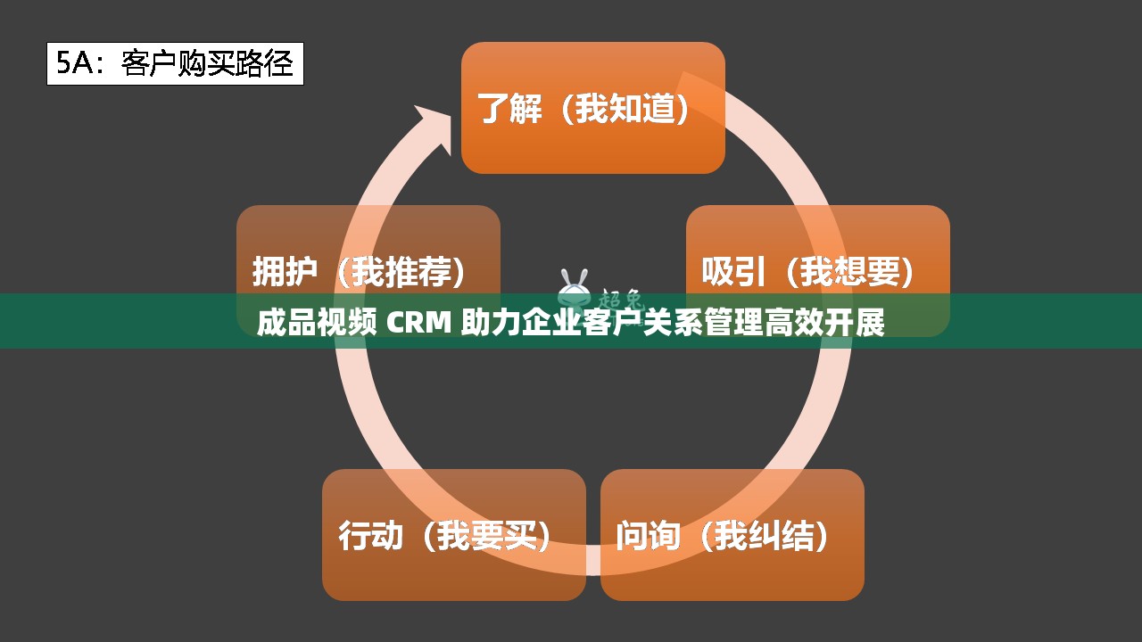 成品视频 CRM 助力企业客户关系管理高效开展