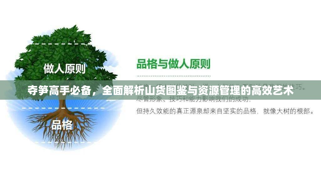 夺笋高手必备，全面解析山货图鉴与资源管理的高效艺术