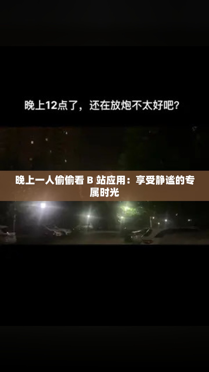晚上一人偷偷看 B 站应用：享受静谧的专属时光