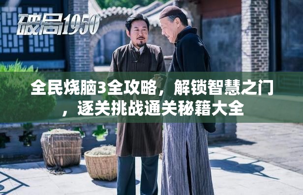 全民烧脑3全攻略，解锁智慧之门，逐关挑战通关秘籍大全