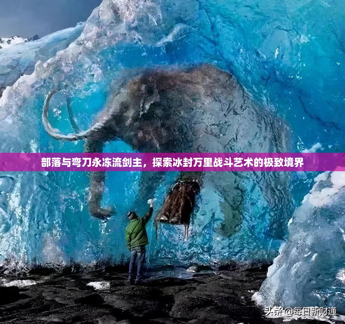部落与弯刀永冻流剑主，探索冰封万里战斗艺术的极致境界