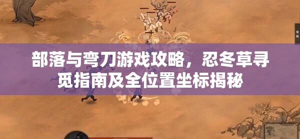 部落与弯刀游戏攻略，忍冬草寻觅指南及全位置坐标揭秘