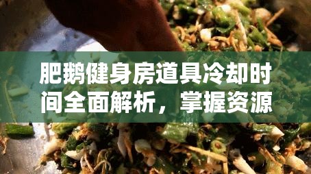 肥鹅健身房道具冷却时间全面解析，掌握资源管理艺术，提升健身效率