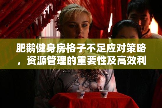 肥鹅健身房格子不足应对策略，资源管理的重要性及高效利用技巧攻略