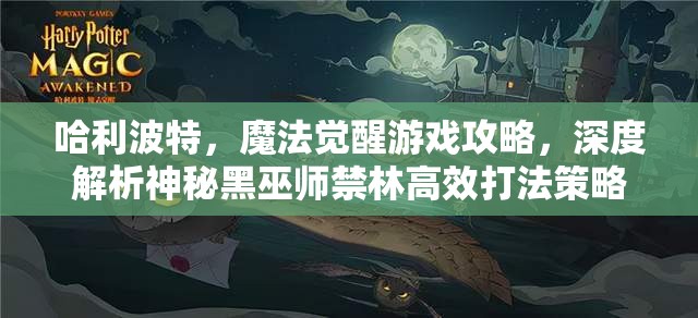 哈利波特，魔法觉醒游戏攻略，深度解析神秘黑巫师禁林高效打法策略