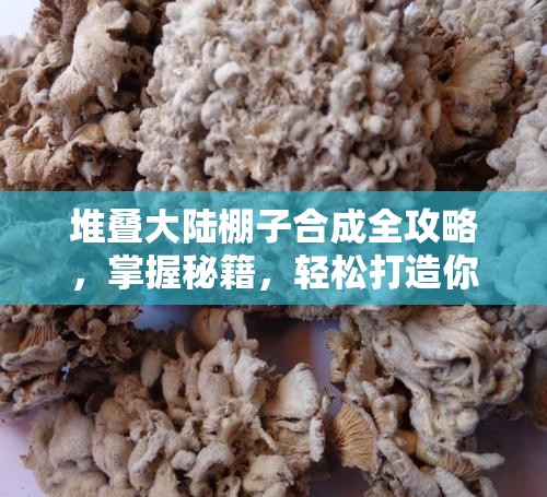 堆叠大陆棚子合成全攻略，掌握秘籍，轻松打造你的卡牌扩容必备神器