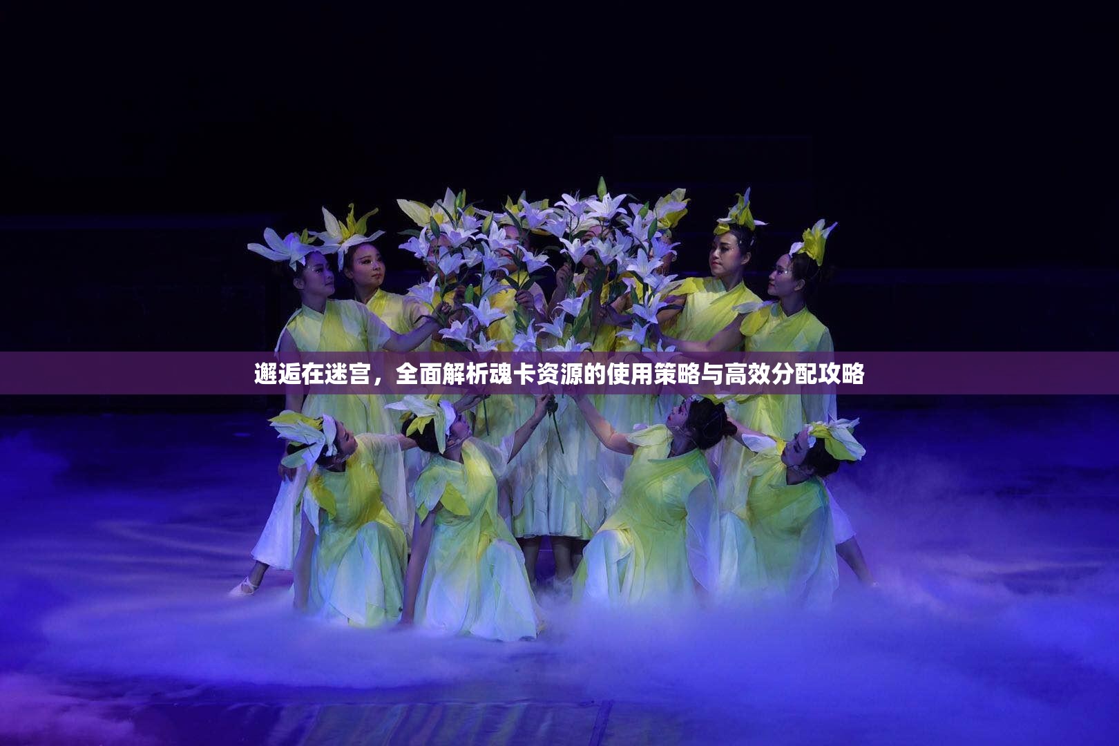 邂逅在迷宫，全面解析魂卡资源的使用策略与高效分配攻略