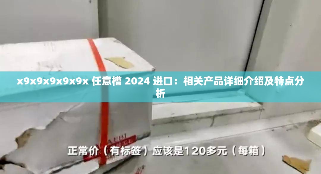 x9x9x9x9x9x 任意槽 2024 进口：相关产品详细介绍及特点分析
