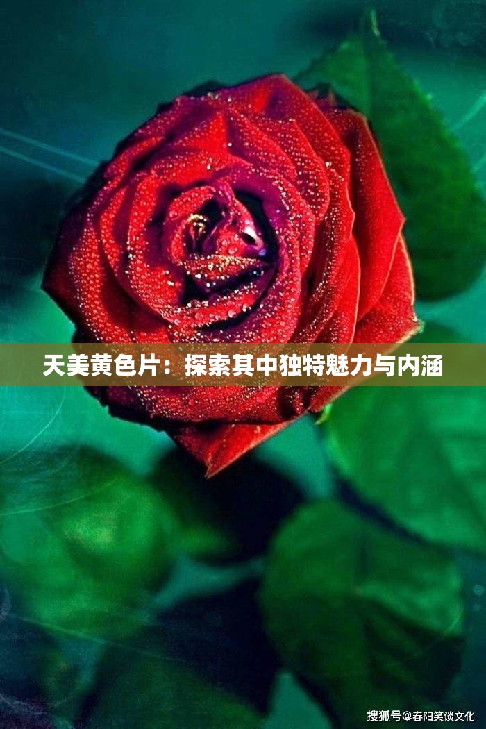 天美黄色片：探索其中独特魅力与内涵