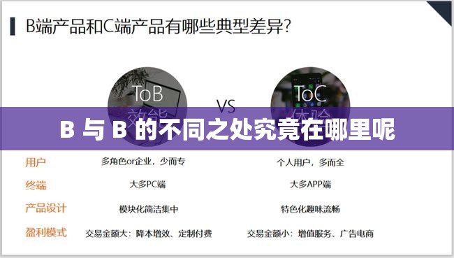 B 与 B 的不同之处究竟在哪里呢