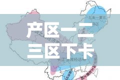 产区一二三区下卡 2024：未来的发展方向与挑战