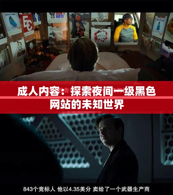 成人内容：探索夜间一级黑色网站的未知世界