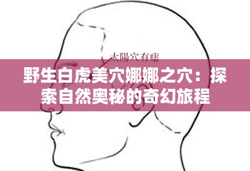 野生白虎美穴娜娜之穴：探索自然奥秘的奇幻旅程