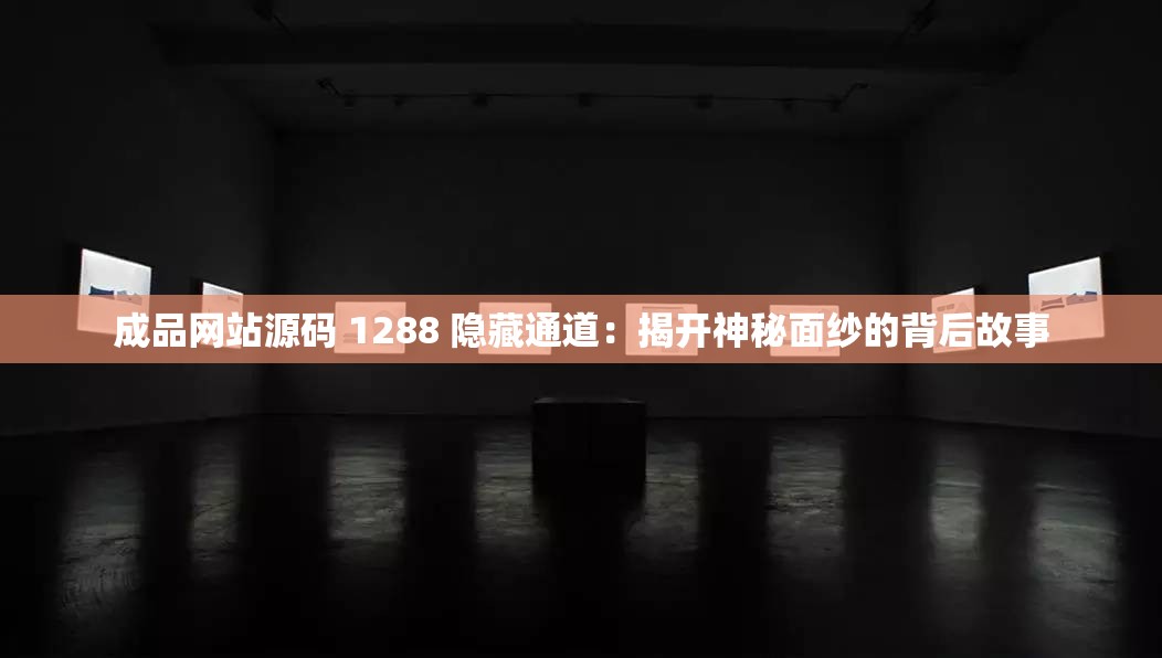 成品网站源码 1288 隐藏通道：揭开神秘面纱的背后故事