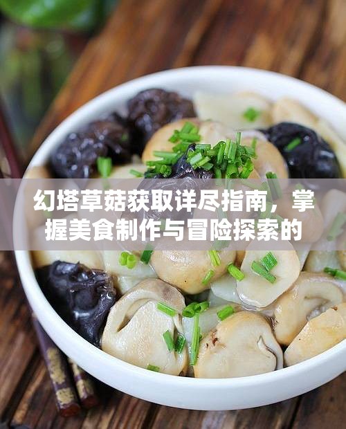 幻塔草菇获取详尽指南，掌握美食制作与冒险探索的必备钥匙