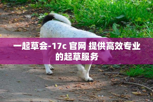 一起草会-17c 官网 提供高效专业的起草服务