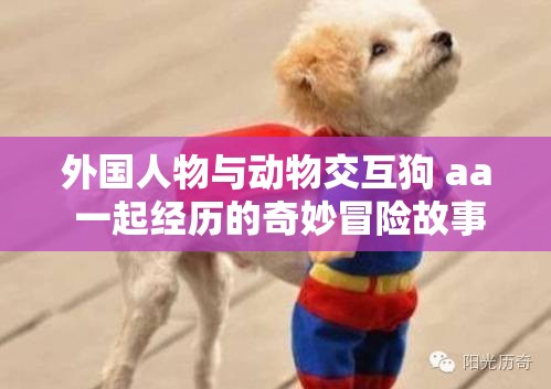 外国人物与动物交互狗 aa 一起经历的奇妙冒险故事