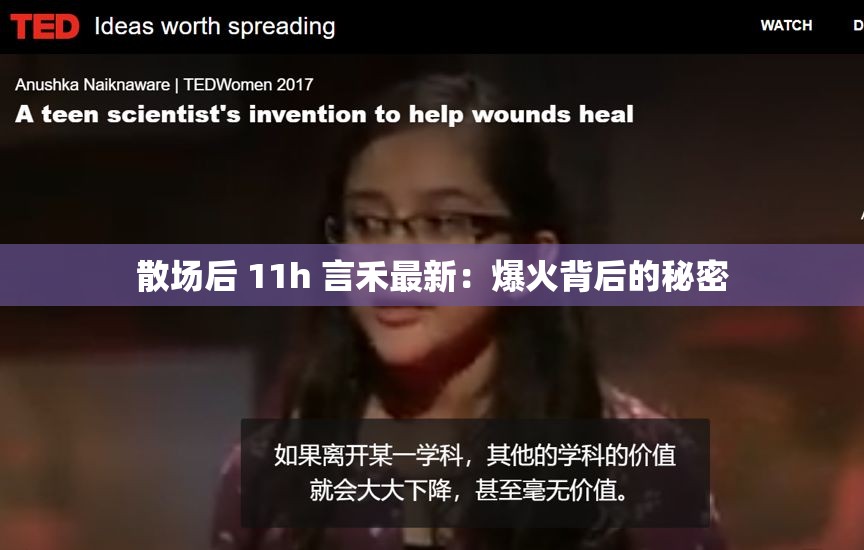 散场后 11h 言禾最新：爆火背后的秘密