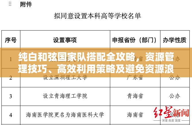 纯白和弦国家队搭配全攻略，资源管理技巧、高效利用策略及避免资源浪费指南