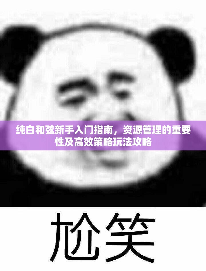 纯白和弦新手入门指南，资源管理的重要性及高效策略玩法攻略