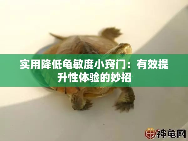 实用降低龟敏度小窍门：有效提升性体验的妙招