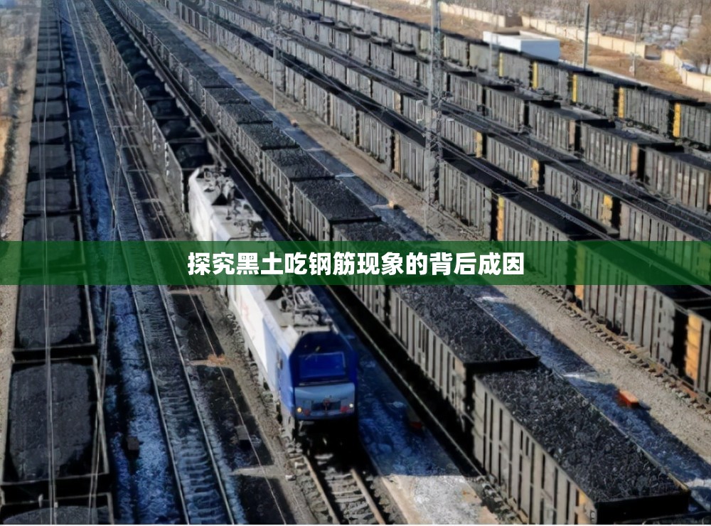 探究黑土吃钢筋现象的背后成因