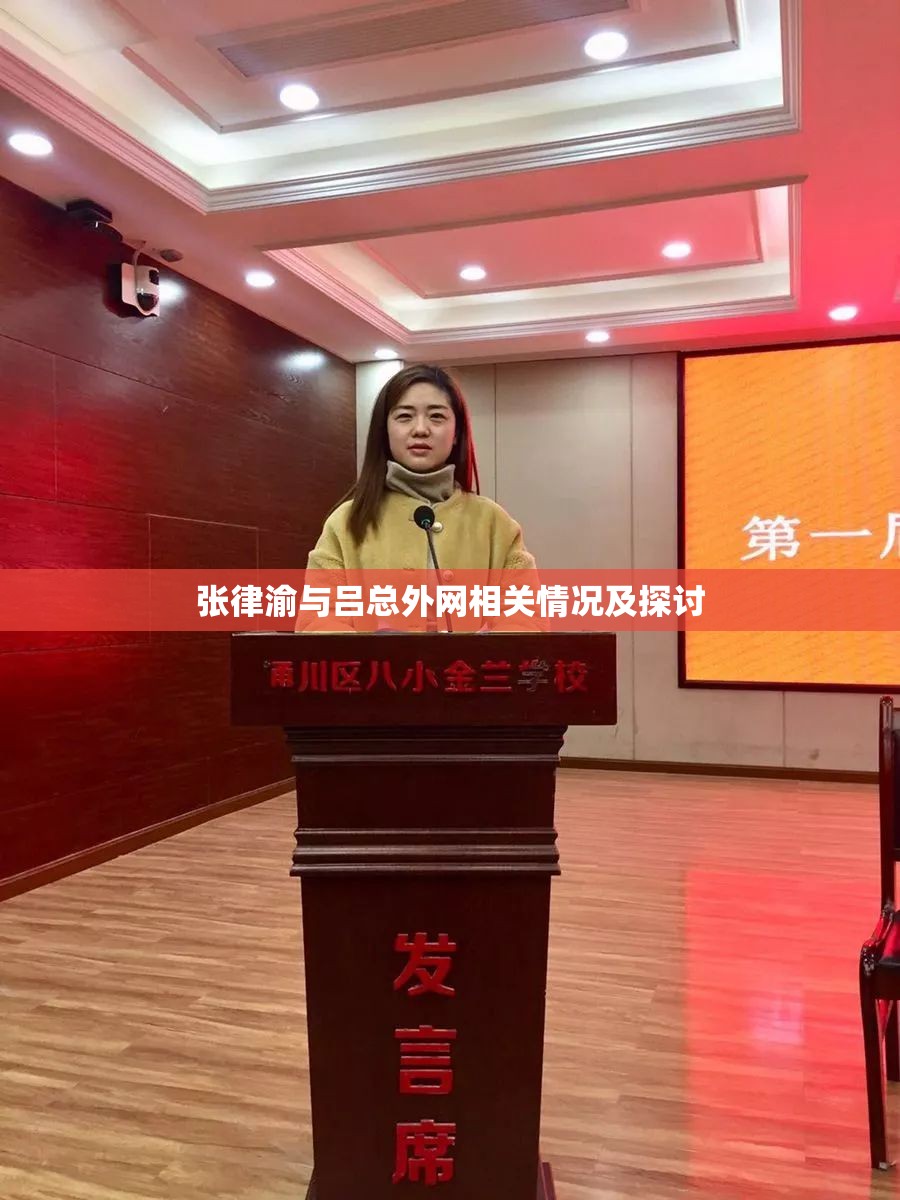 张律渝与吕总外网相关情况及探讨