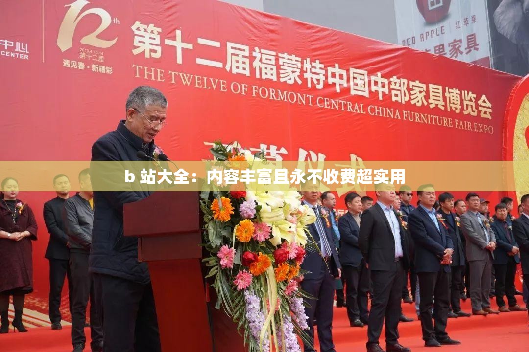 b 站大全：内容丰富且永不收费超实用