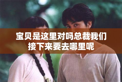 宝贝是这里对吗总裁我们接下来要去哪里呢