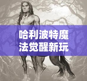 哈利波特魔法觉醒新玩法，解锁衣服租借功能，共享奇幻世界的魔法时尚潮流